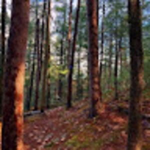 Meet your Posher, Kendra